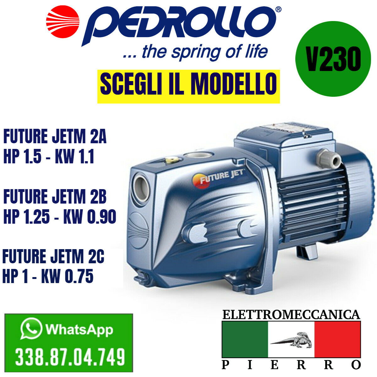 Elettropompa Pompa Autodescante PEDROLLO Future JETm 2A-2B-2C INOX V230 Monofase  Logo Elettromeccanica Pierro Elettromeccanica Express Assistenza (2693739)