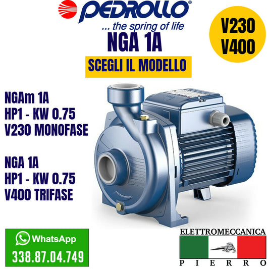 Elettropompe Centrifughe – Page 2 – Elettromeccanica Pierro Shop